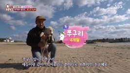 ‘동물농장’ 맥줏집 들이닥친 홍길-5남매, 새 주인 위해 영상편지까지