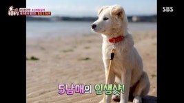 ‘동물농장’ 맥줏집 들이닥친 홍길-5남매, 새 주인 위해 영상편지까지