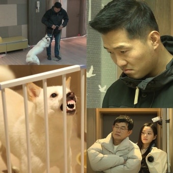 ‘개훌륭’ 강형욱 훈련 중단 선언 “지금 할 수 있는 교육 없다”