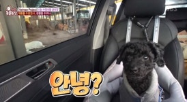 ‘동물농장’ 대동물 전문 권환홍 수의사, 반전 반려견 공개 “껌딱지”