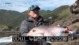 뉴질랜드 헬기낚시, 이경규 71㎝ 참돔잡아 “용왕의 아들” [어제TV]