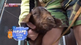 ‘동물농장’ 반려염소 가브리엘, 할머니 등에 업고 기세등등