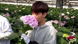 ‘끼리끼리’ 인피니트 성규, 구박덩어리→칭찬 갈구 막내[오늘TV]