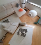 유튜버 갑수목장 민낯, 유기동물 아닌 펫샵 분양 인정 “학대는 아냐”