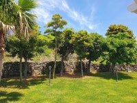 탁재훈, 500만원으로 계약한 제주 럭셔리 하우스 앞마당 공개[SNS★컷]