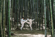 ‘태백권’ 이연걸 스승에게 직접 우슈 배운 무술가 출연