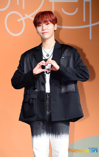 세븐틴 측 “발목부상 승관, 팬미팅 참여…퍼포먼스 최소화”(공식입장 전문)