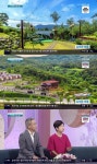 ‘아침마당’ 김학래 “김미화 마을, 펜션·공연장·카페·골프장 있어” [결정적장면]