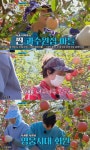 ‘뽕숭아학당’ 영탁 “난 과수원집 아들, 매년 사과 땄다”