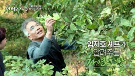 ‘더 먹고 가’ 강호동-임지호-황제성, 강렬한 티저 3종 공개