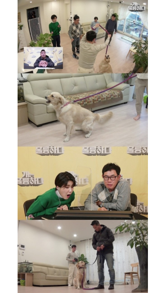 ‘개훌륭’ 강형욱, 훈련 중 유혈사태…천사X악마 공존하는 레트리버[오늘TV]