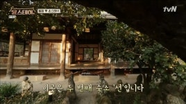 ‘윤스테이’ 촬영지 전남 구례 쌍산재 관심↑, 대나무 정취 가득 한옥 숙박+찻집 운영