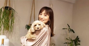 日 배우 나츠나, 16일 비연예인과 결혼 “많은 축하 감사”