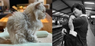 ‘이효리♥’ 이상순, 제주살이 일상…반려묘 순이 근황도 [SNS★컷]