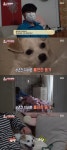 ‘동물농장’ 유기견 모모-윤구 씨, 6년간 불편한 동거 “호의를 위협으로”