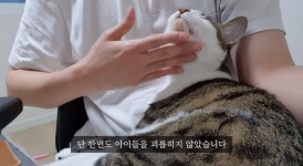 ‘동물학대 의혹’ 유튜버 갑수목장, 10개월만 복귀 “괴롭히지 않았다”