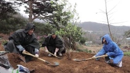 ‘나혼자산다’ 김민경, 오나미X송병철과 주말농장 무한노동