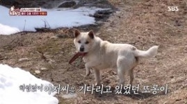 ‘동물농장’ 또롱이, 주인 떠난 뒤 홀로 빈집 지킨 사연→새 가족 찾기