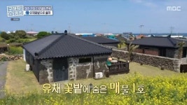 ‘홈즈’ 4계절 유채꽃→동백꽃뷰, 제주 전통가옥 ‘한옥으로 올레’ 감탄[결정적장면]