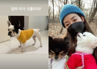 ‘안성현 ’ 성유리, 반려견과 행복 일상 “엄마 이거 크롭티야?” [SNS컷]
