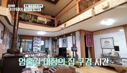 엄홍길, 히말라야 산장 같은 집공개 “하형주와 백두결의” (스타다큐) [결정적장면]