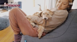 ‘동물농장’ 이효리와 순심이 2편, 무지개다리 건너기 전 일주일간의 기록