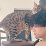 “다음 생앤 고양이로” 2PM 준호, 반려묘와 애정 가득한 일상[SNS★컷]