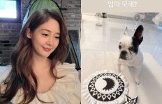 “엄마 뭐해?” 쌍둥이 임신 성유리, 반려견 애교에 사르르