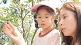 ‘내가 키운다’ 조윤희 딸 로아, 父 이동건 생일케이크 위해 블루베리 농장行