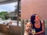 엄정화, 오늘도 반려견과 럽스타그램…50억 한남동집 테라스뷰 감상