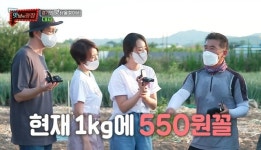‘맛남’ 금파의 추락 “1㎏ 550원, 내년 농사 못 지을 판” 농민 탄식 [결정적장면]