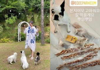 한국 온 LA댁 박은지 ‘쌍둥이 임신’ 성유리에 반려견 간식 선물