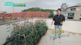 류수영, 직접 재배한 작물 나눔하는 동대표 클래스(편스토랑)[결정적장면]