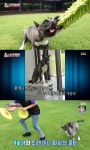 유기견에서 도그 스포츠 유망주 된 가을이의 감동적 사연(TV동물농장)