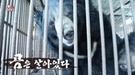 사육곰 농장주, 오물 범벅+곰들의 충격적 정형 행동에도 여기가 베어호텔(동물농장)