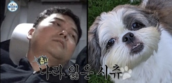 “걸그룹 다리같아” 전현무, 가늘어진 허벅지 위기의식→성훈 지옥훈련에 눈물(나혼산)[어제TV]