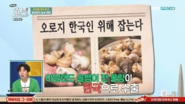 외교관 키아라 “아일랜드 골뱅이 100% 한국으로 수출”(어서와 한국은)