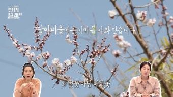 ‘마이큐’ 김나영 “벚꽃놀이 가야겠다” 개화 소식에 설렘(빈집살래2)[결정적장면]
