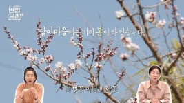 ‘마이큐♥’ 김나영 “벚꽃놀이 가야겠다” 개화 소식에 설렘(빈집살래2)[결정적장면]