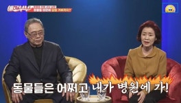 “총 336마리, 집 동물농장 돼” 아내 몰래 교배시킨 남편(애로부부)[어제TV]