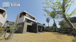 마당 야자수+한라산뷰 서귀포 서흥동 3층 집, 전세가 6억(홈즈)[어제TV]