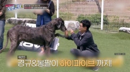 윤소영 “반려견 ‘개훌륭’ 출연, 이경규에게 박스로 선물 받아”(노니2)