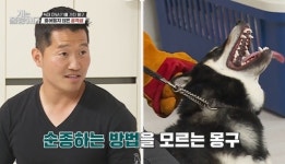 “30명 정도 물려” 강형욱, 시바견 몽구와 역대급 대치 (개훌륭)[어제TV]