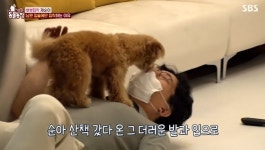 ‘동물농장’ 신혼 방해하는 입술 집착견‥남편에게만 뽀뽀 30분 퍼붓는 이유는?