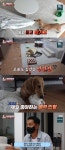 ‘동물농장’ 닥스훈트 고도리, 혼자 있을 때만 사고 치는 이유는?