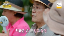 노주현, 망고농장 접은 이유 “동업한 친구들 입장 달라져”(같이삽시다)