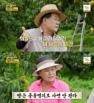 노주현, 망고농장 접은 이유 “동업한 친구들 입장 달라져”(같이삽시다)