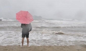 ‘나혼산’ 이주승, 전현무 선물한 ‘불가리안 백’ 충격 근황 공개
