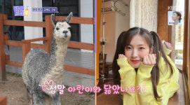 오마이걸 유빈X유아, 알파카 등장에 아린 소환 “너무 닮아”(배틀트립2)[결정적장면]