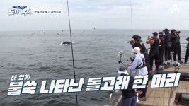 돌고래 쇼 얻고 조황 잃었다, 이수근 1마리로 난세의 영웅 등극(도시어부4)[어제TV]